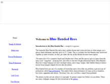 Tablet Screenshot of bluebandedbees.com